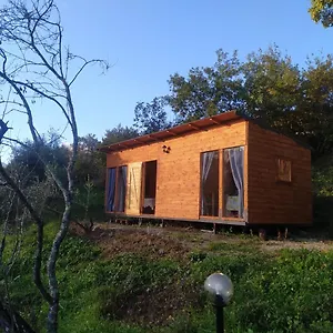 Campeggio Agricampeggio La Casa Di Nicla, Cavriglia